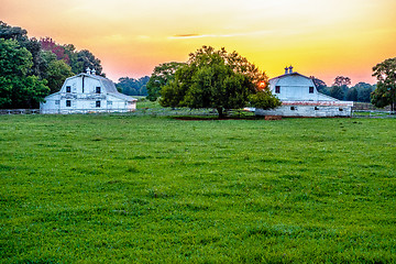 Image showing york south carolina white rose city