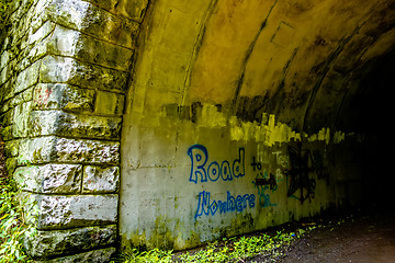 Image showing tunnel to road to nowhere at lakeshore trailhead near lake fonta