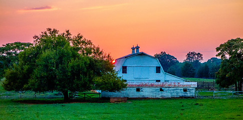 Image showing york south carolina white rose city