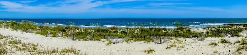 Image showing nature scenes around hunting island south carolina