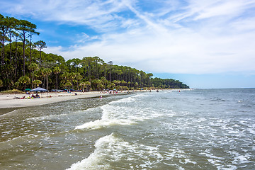 Image showing nature scenes around hunting island south carolina