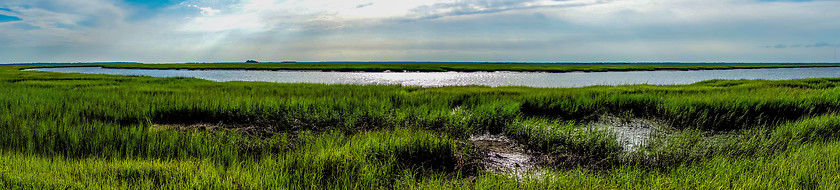 Image showing nature scenes around hunting island south carolina