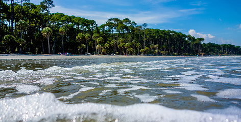 Image showing nature scenes around hunting island south carolina