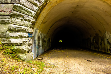 Image showing tunnel to road to nowhere at lakeshore trailhead near lake fonta