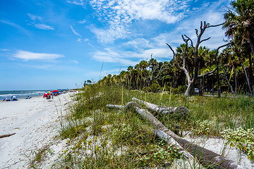 Image showing nature scenes around hunting island south carolina