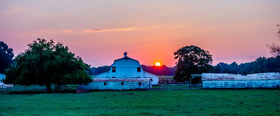 Image showing york south carolina white rose city