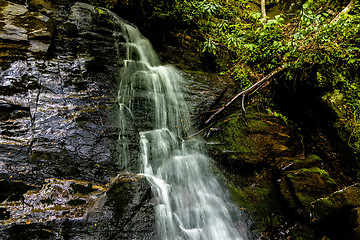 Image showing juney whank water falls in great smoky mountains