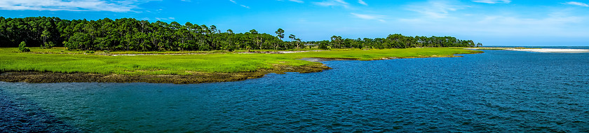 Image showing nature scenes around hunting island south carolina