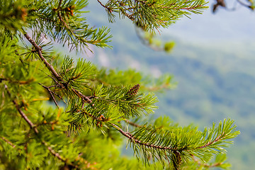 Image showing scenes near chimney rock and lake lure in blue ridge mountains n