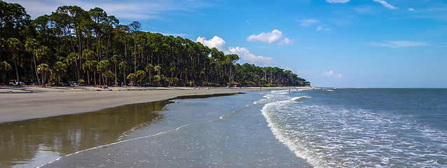 Image showing nature scenes around hunting island south carolina