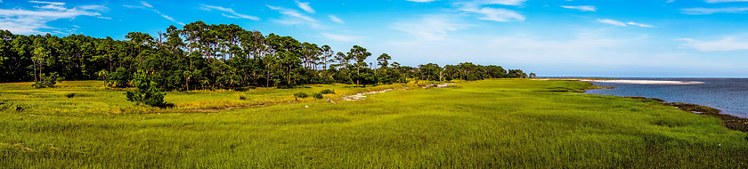 Image showing nature scenes around hunting island south carolina