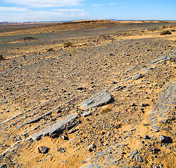 Image showing  old fossil in  the desert of morocco sahara and rock  stone sky