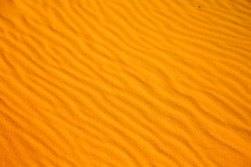 Image showing africa  brown  dune in   sahara morocco   line