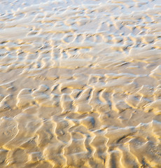 Image showing dune morocco in africa brown coastline wet sand beach near atlan