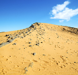 Image showing  old fossil in  the desert of morocco sahara and rock  stone sky