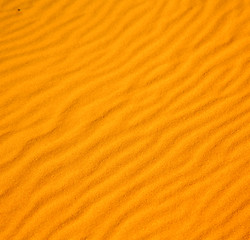 Image showing africa the brown sand dune in   sahara morocco desert line