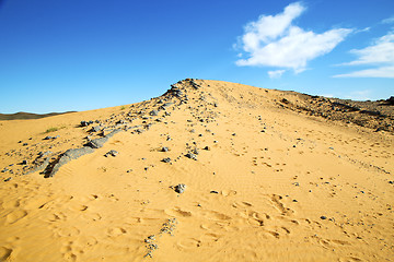 Image showing  old fossil in  the desert of   and rock  stone  