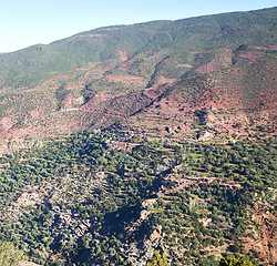 Image showing the    dades valley in atlas moroco africa ground tree  and nobo