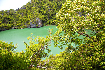 Image showing   lagoon and tree  south china sea thailand kho phangan  bay  