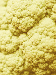 Image showing Retro looking Cauliflower