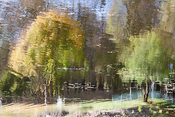 Image showing Autumn trees reflected