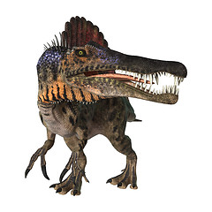 Image showing Dinosaur Spinosaurus