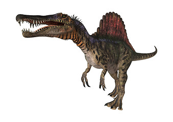 Image showing Dinosaur Spinosaurus