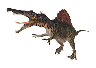 Image showing Dinosaur Spinosaurus