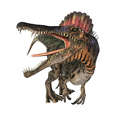 Image showing Dinosaur Spinosaurus