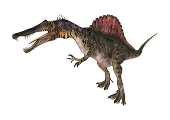 Image showing Dinosaur Spinosaurus