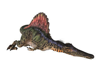 Image showing Dinosaur Spinosaurus