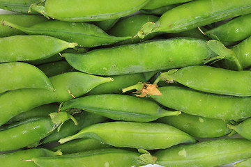 Image showing green pea background