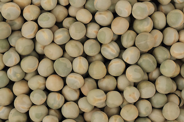 Image showing dried pea