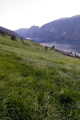 Image showing Evening Fjord View