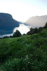 Image showing Evening Fjord View