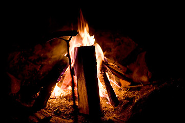 Image showing Campfire and Hotdog