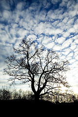 Image showing Dramatic Sunrise