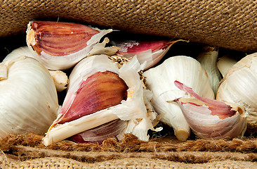Image showing Whole garlic and cloves of garlic in a sack