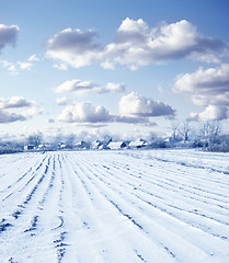 Image showing winter