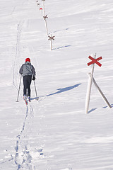 Image showing Cross country