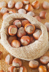 Image showing hazelnuts