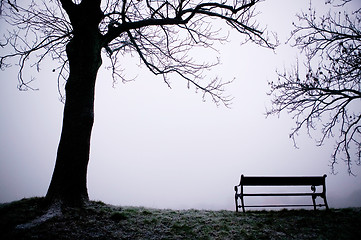 Image showing Tree in Fog
