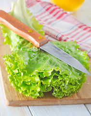 Image showing fresh salad