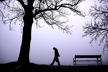 Image showing Depressed in Fog