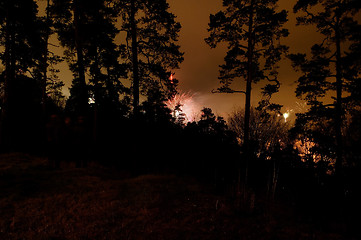 Image showing Forest Fireworks