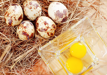 Image showing quail eggs