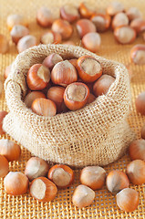 Image showing hazelnuts