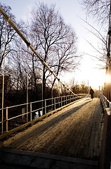 Image showing Suspension Bridge on Sunny Day