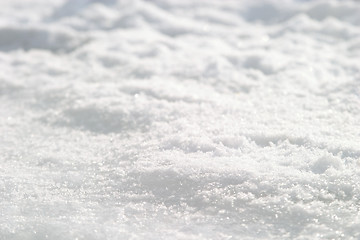 Image showing Snow Crystal Detail