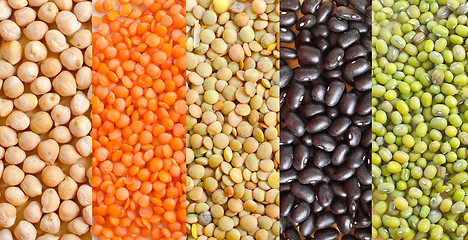 Image showing different kind of beans